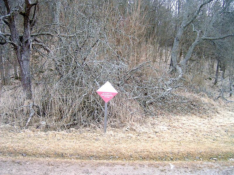 2010.03.20 034.jpg